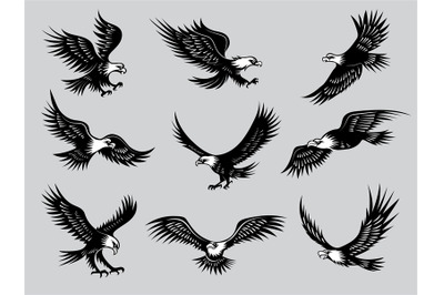 Flying eagles. Silhouettes of birds wild hawks freedom animals for mot