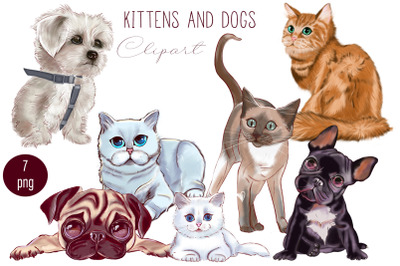 Dog and cat clipart set&2C; Animal png