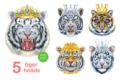 Watercolor tigers with crowns