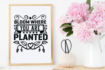 bloom where you are planted