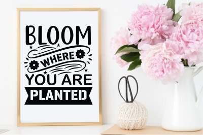 bloom where you are planted