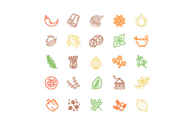 Spices and Herbs Thin Line Icon Set. Vector