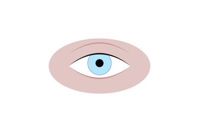 Human eye isolated on white, eye adult attractive