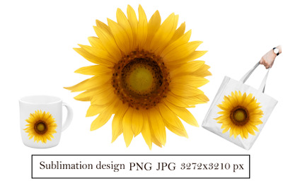 Sunflower Sublimation png