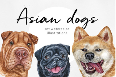 Asian dog breeds. Watercolor 10 dogs illustrations