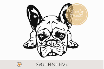 French bulldog #2 svg, Frenchie svg, Dog svg, svg files for cricut, pn