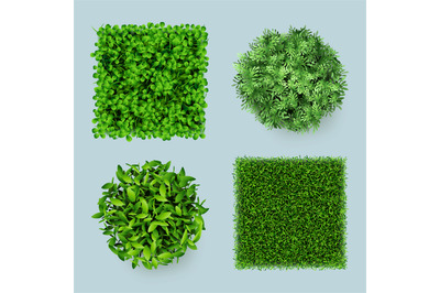 Grass top. Green ground eco gardens forest natural leaves plants decen