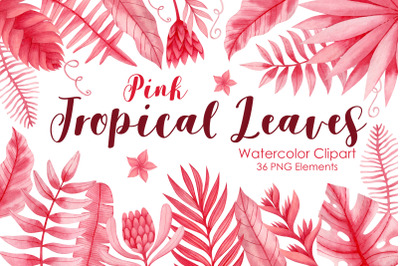 Watercolor pink tropical leaves clipart.