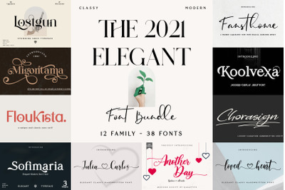 The 2021 Elegant font bundle BUNDLE