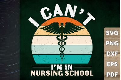 I Can&amp;&23;039;t I&amp;&23;039;m In Nursing School Gift