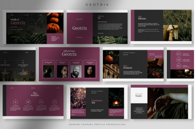 Geotrix - Modern Company Profile Presentation PPT