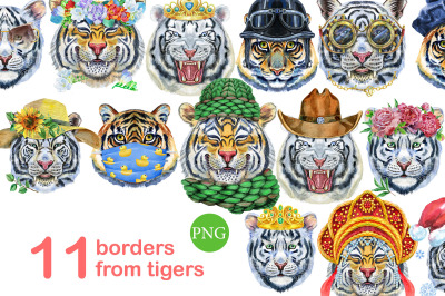 Watercolor borders from tigers