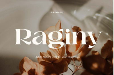Raginy - Stylish Modern Serif