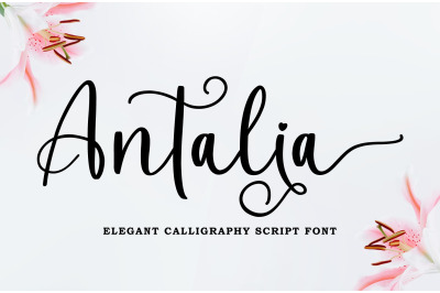 Antalia Elegant Calligraphy Font