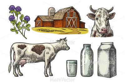 Set Milk farm. Cow head and figure, clover, box carton package, glass and bottle.