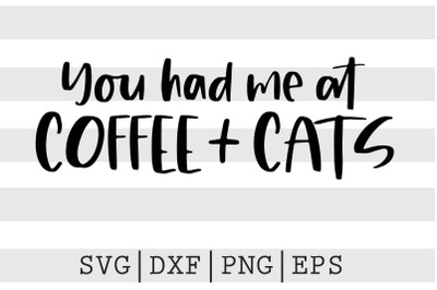 You had me at coffee plus cats SVG