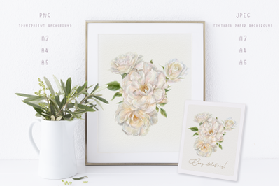 White roses - watercolor bouquet - PNG