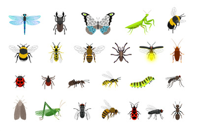 Cute insects collection