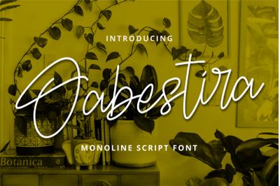 Oabestira - Monoline Script Font
