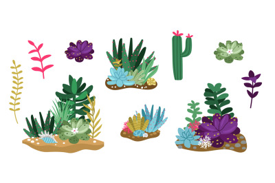 Cactus and succulent set