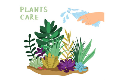 Plants care illustration