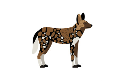 African wild dog