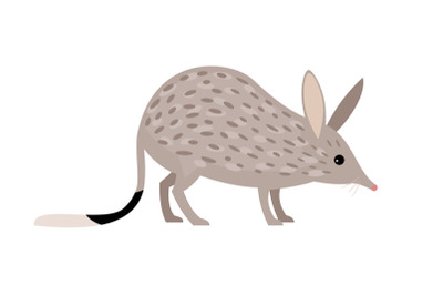 Rabbit Bandicoots cartoon zoo character