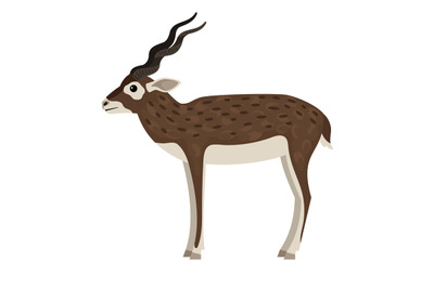 Cartoon wild antelope