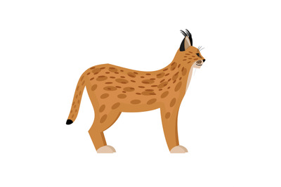 Wild lynx cartoon character