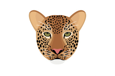 Leopard head isolated on white