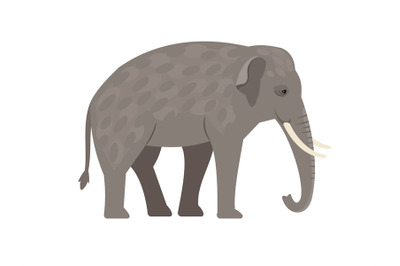 Cartoon grey elephant