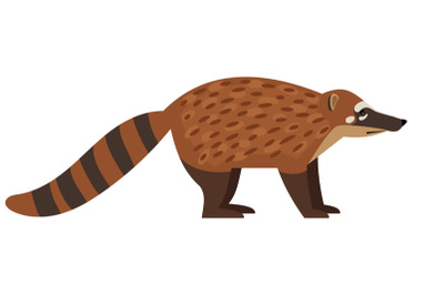 Tailed exotic coati animal