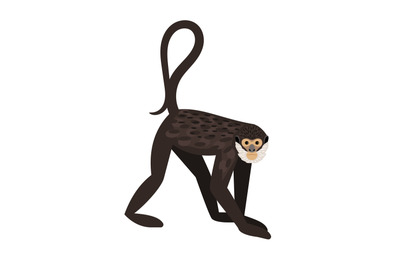 Monkey with tail