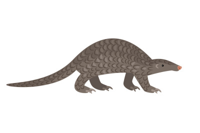 African big reptile pangolin