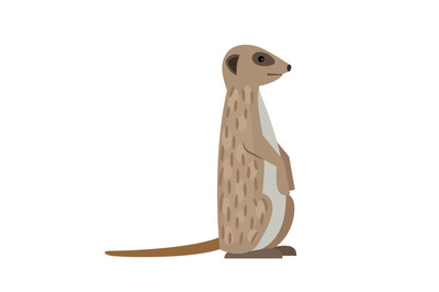 Desert meerkat cartoon animal