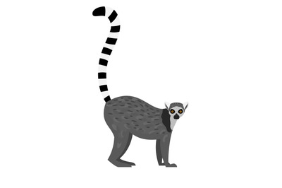 Tropical lemur icon