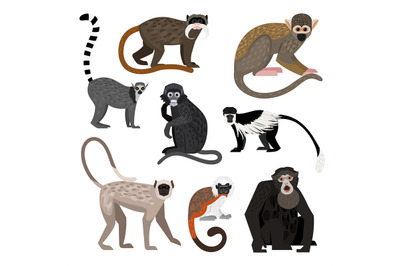 Different monkey set