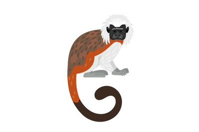 Tamarin monkey character