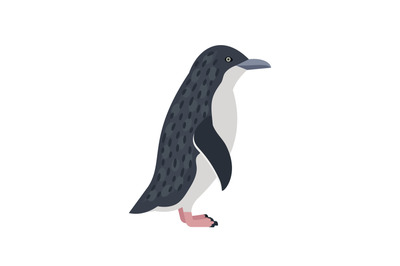 Antarctic penguin cartoon icon