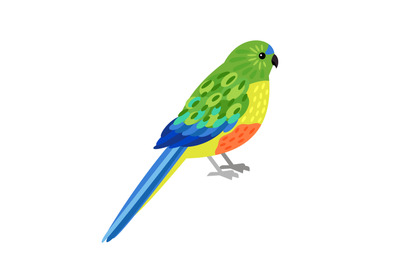 Tropical parrot character