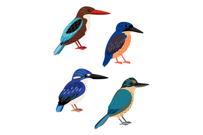 Small colored birds