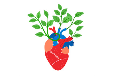 Human heart with leaves