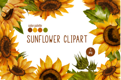 Sunflower&2C; yellow flowers clipart