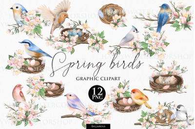 Spring birds and flowers