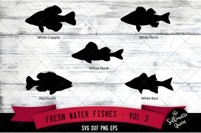 Fresh Water Fishes Svg V3 - White Crappie, Warmouth, Yellow Perch