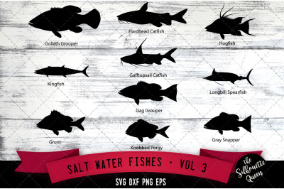 Salt Water Fishes Svg V3 - Goliath Grouper, Kingfish, Grunt