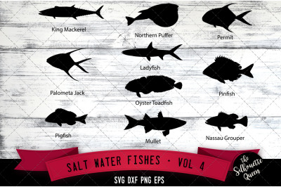 Salt Water Fishes Svg V4 - King Mackerel, Palometa Jack, Pig Fish