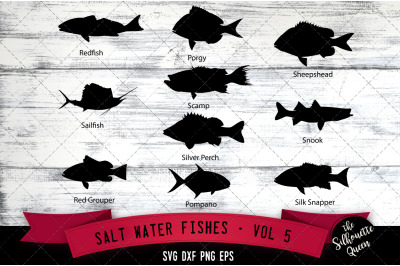 Salt Water Fishes Svg V5 - Redfish, Sailfish,Red Grouper,  Porgy