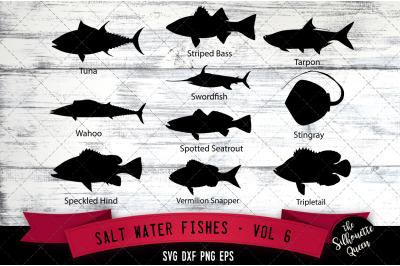 Salt Water Fishes Svg V6 - Tuna, Wahoo, Speckled Hind, Striped Bass