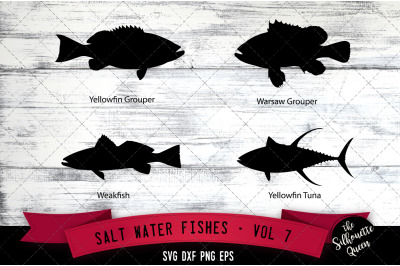 Salt Water Fishes Svg V7 - Yellowfin Grouper, Warsaw Grouper